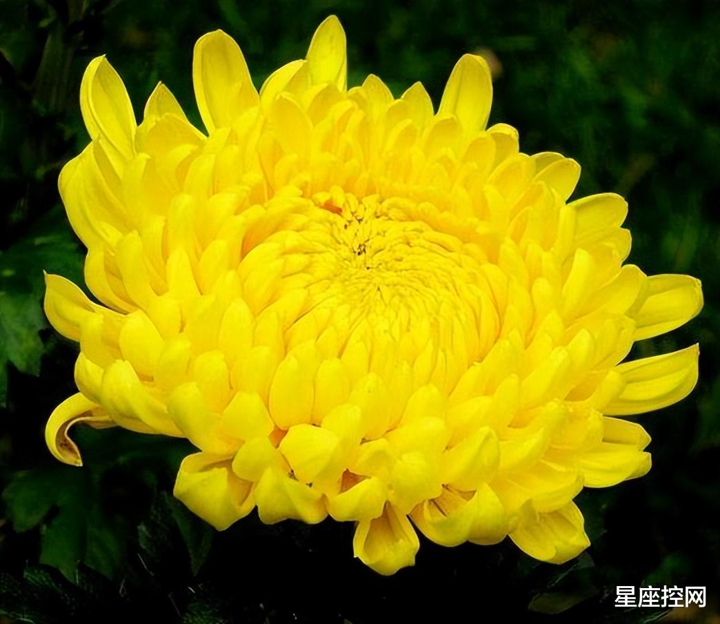 |啥时辰出生的人,自带贵气,事业发展如日中天,开启升级打怪模式