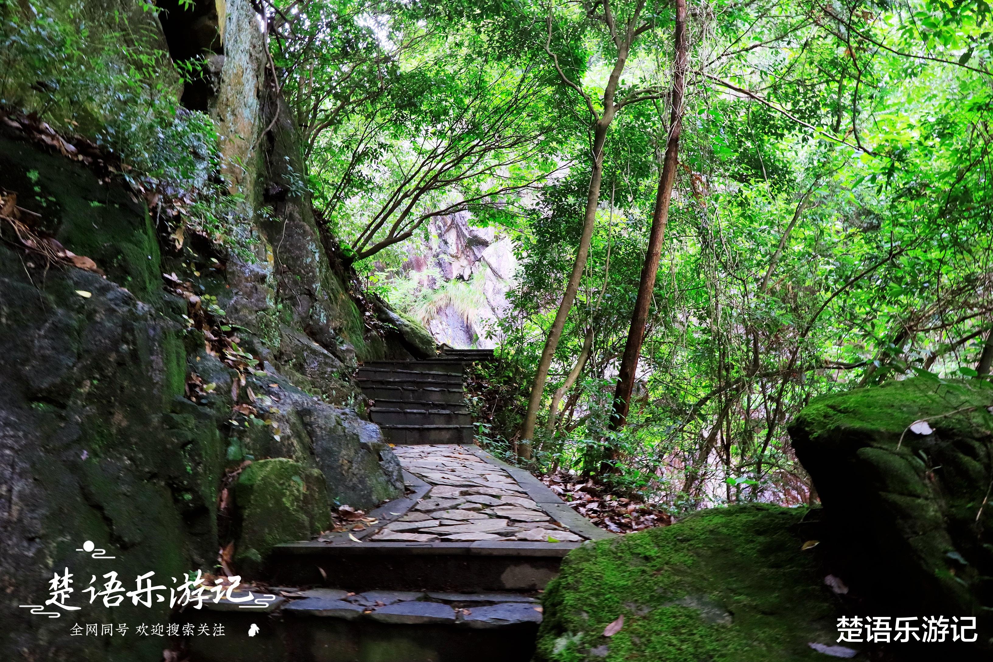 |浙江宁波这处风景地处峡谷之中，幽静凉爽，清潭飞瀑成群，美极了