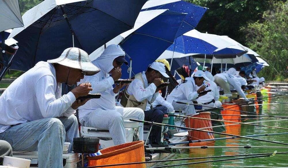 饵料|泥鳅钓鱼饱受争议，是“眼红”钓得多？钓友：其实危害比电鱼还大