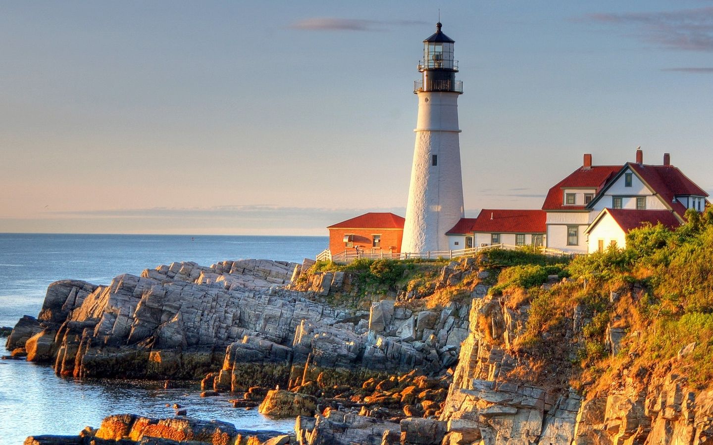 衬衫|欧盟自由迁移法案规定