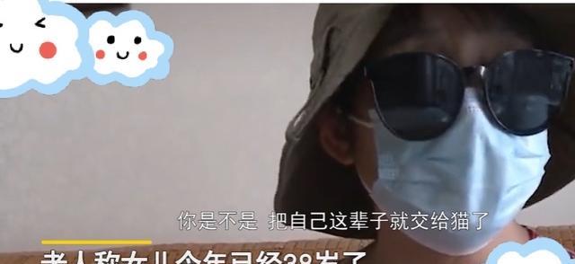 自由职业者|女子不工作不恋爱,养了六只猫令母亲很担忧,女子:我有我的方式