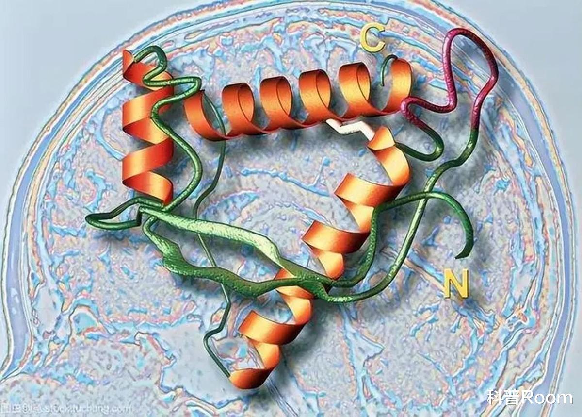 人类为何拒绝同类相食?真的存在天罚吗?生物学家出面告诉你!