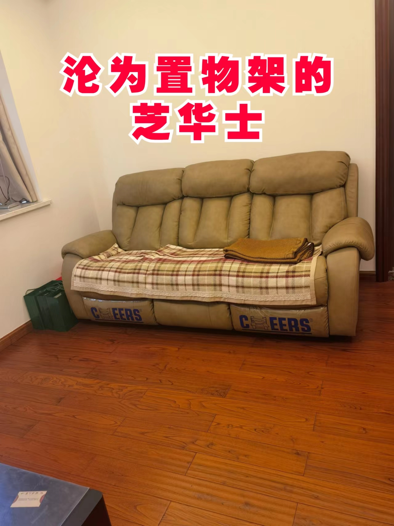 我的冤种家居品|沦为置物架的芝华士沙发
