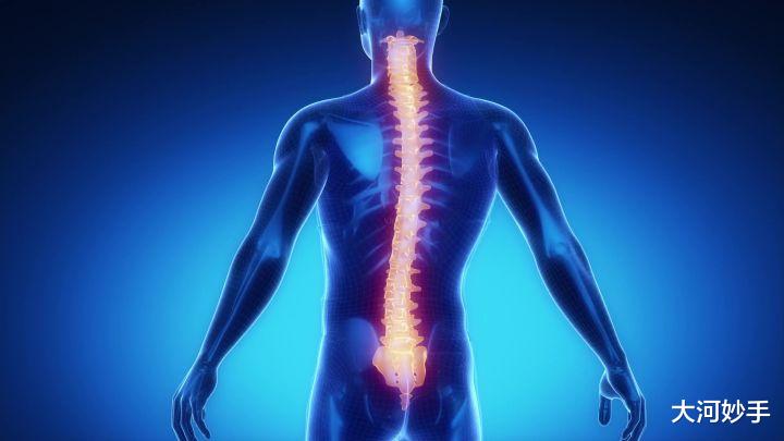 八段锦|锻炼脊柱，要学习动物的本能，八段锦五禽戏把秘密都讲透了