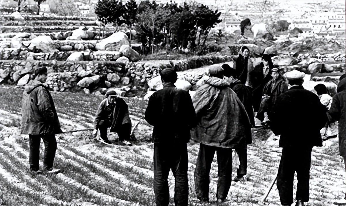 警察|黑龙江女囚犯,容貌赛明星小花旦,枪决后死而复生,警察又补2枪