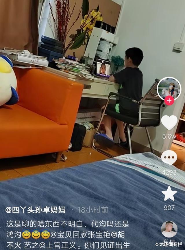 大侦探7|彭四英带儿子上网课，孙辉聊天孙卓诉苦，孙海洋发现舅妈家照片