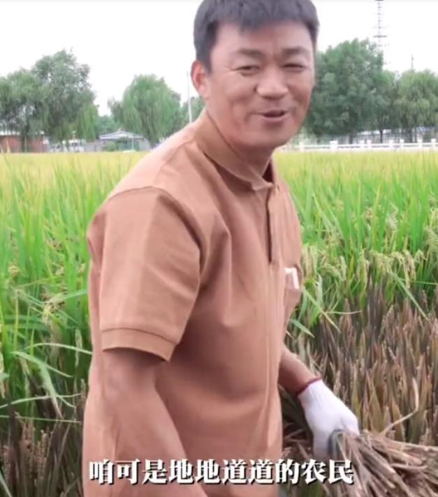 赵丽颖|从小县城出头的8位明星：赵丽颖回村修路，成毅老家3年前才脱贫