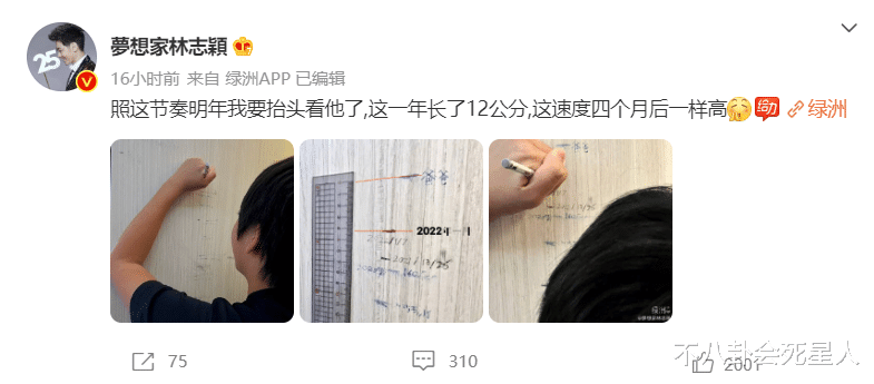 林志颖|《爸哪》萌娃身高猛长,林志颖儿子12岁近1米7,王诗龄高又壮