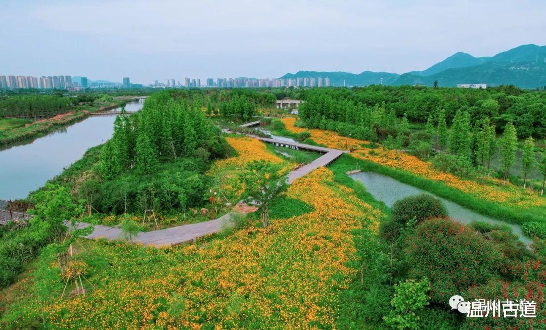 |惊艳了！这才是五月最上镜的地方！一起去打卡湿地初夏美景~