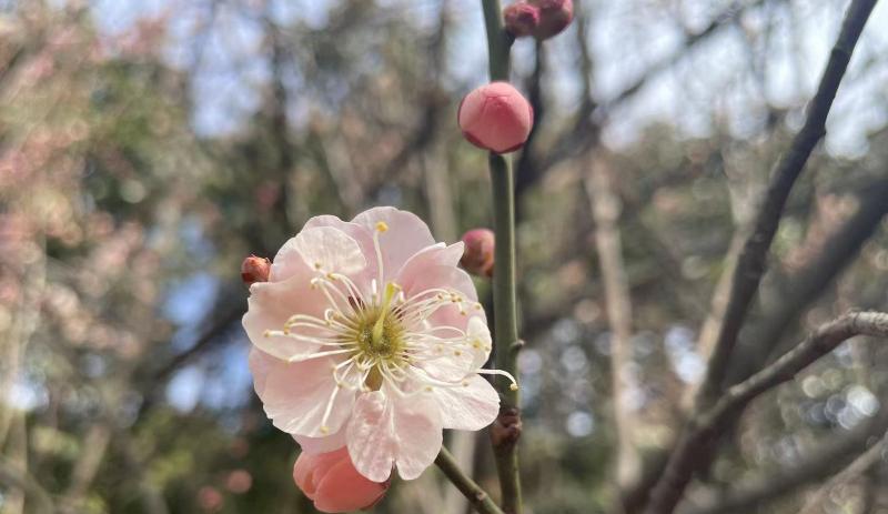 面试|为什么不建议在简历上撒谎？