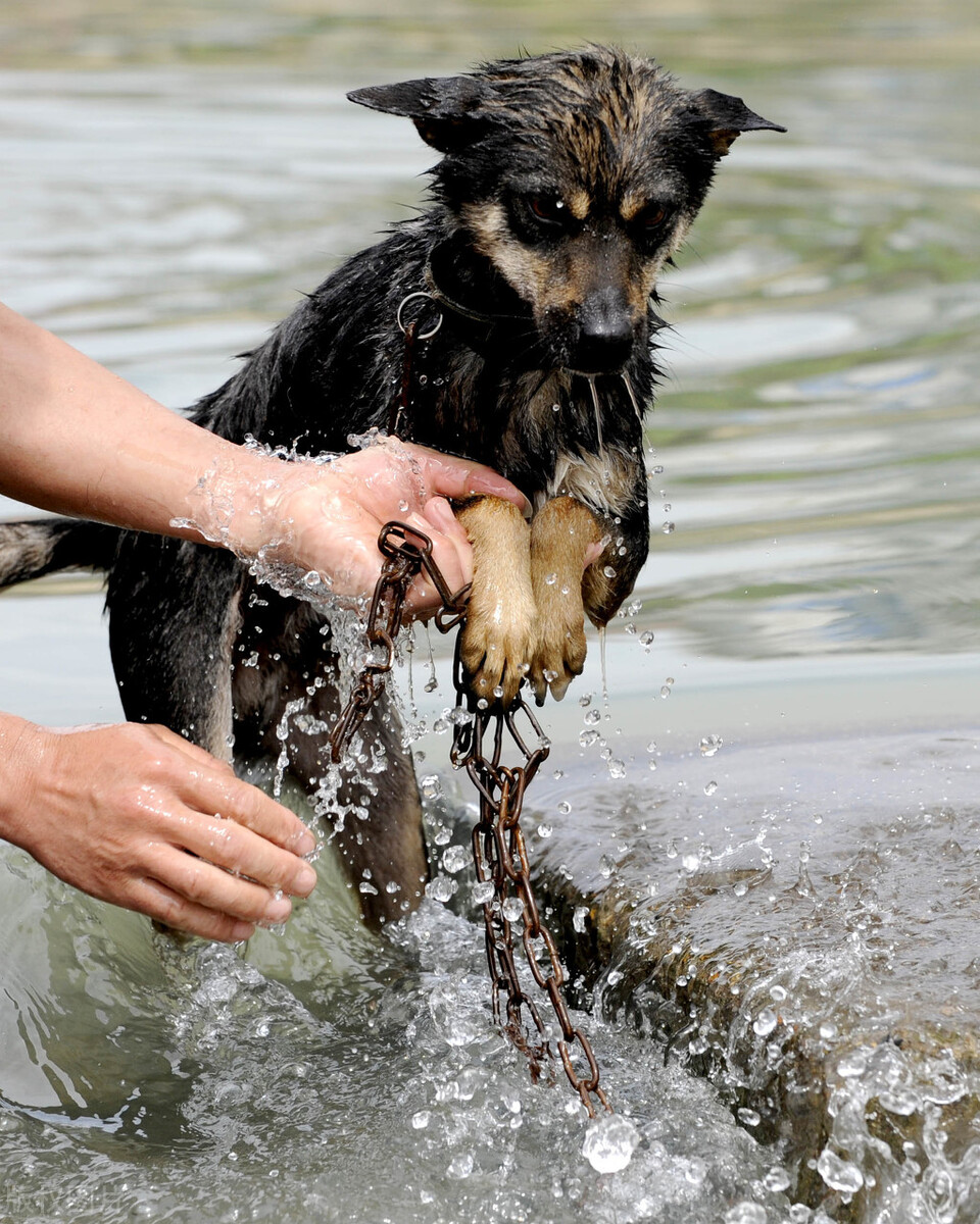 赵丽颖|赵丽颖与冯绍峰离婚后再次相爱，一个美字了得！梦里的爱情故事