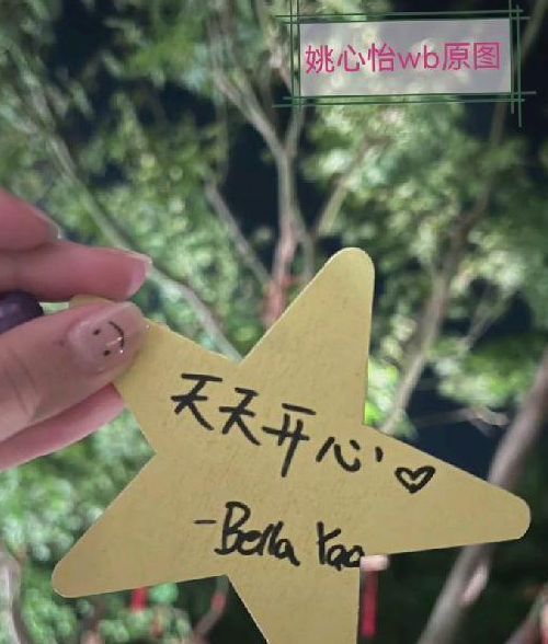 王思聪|王思聪被扒与姚心怡恋爱,送对方库洛米玩偶,同游三亚感情稳定