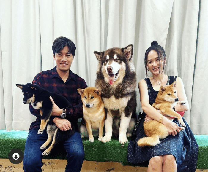 陈乔恩|陈乔恩夫妇庆祝婚后首个情人节,Alan在地上铺花瓣,承诺将永远爱她