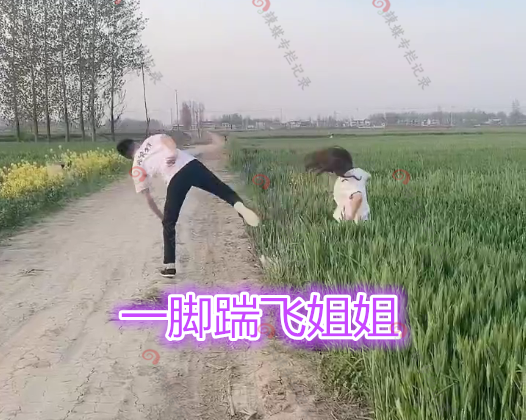 姐姐|弟弟收买姐姐拍视频，把姐姐一脚踹进麦田：给你200元配合我表演