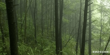 |夜钓的时候一个人害怕吗?