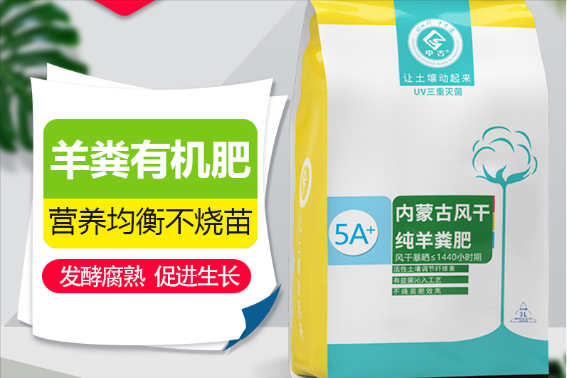 老宅改造：自己DIY打造花园攻略，快把闲置空间利用起来，太美啦