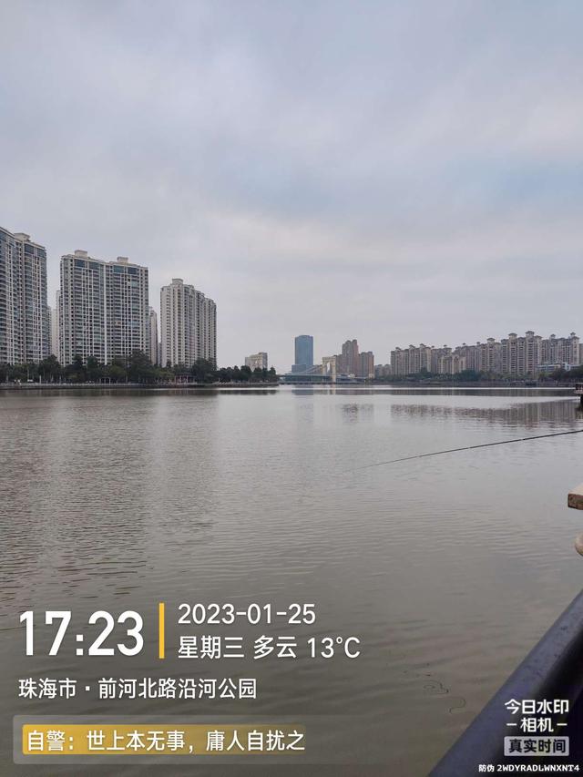 鳊鱼|小鱼群里的巨物，钓友这次超威武