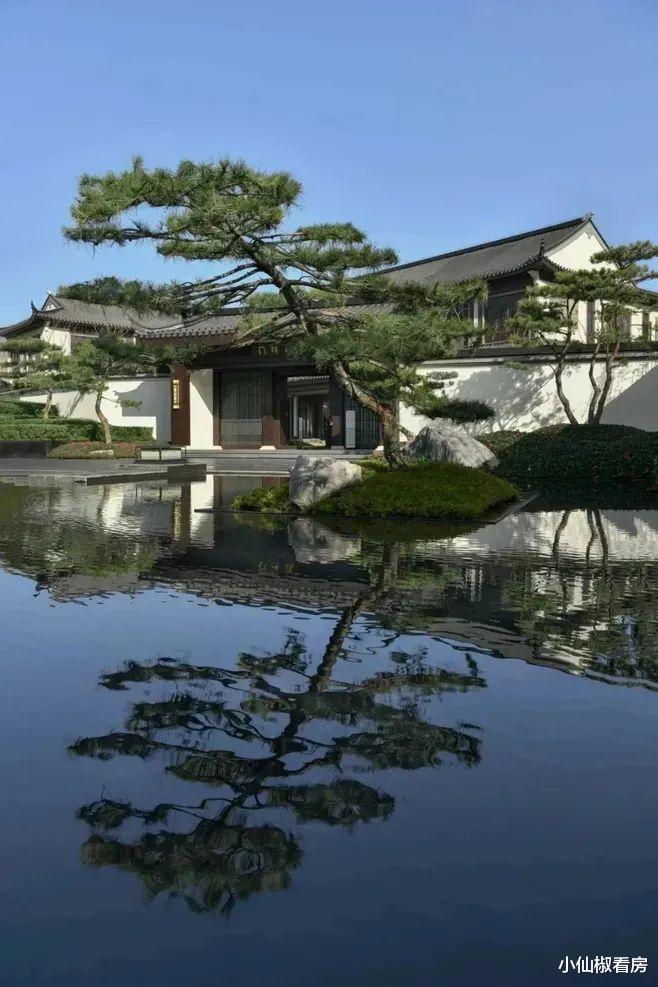 成都|院子生活为什么如此令人向往?