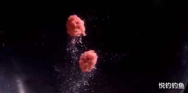 |夜钓的乐趣大概就是这份平静……