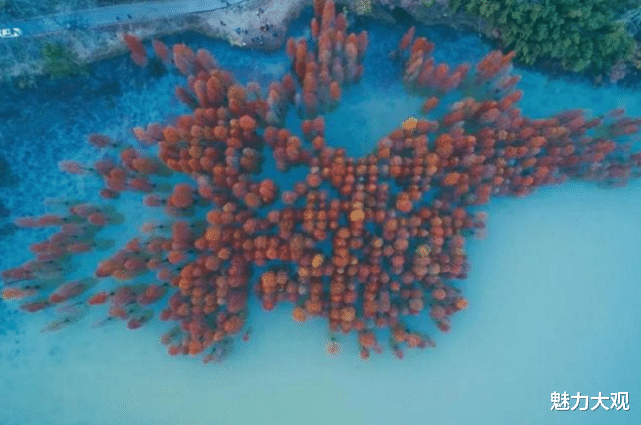 梯田|航拍角度下的大美中国,领略那些上帝视角下我们没有见过的景观