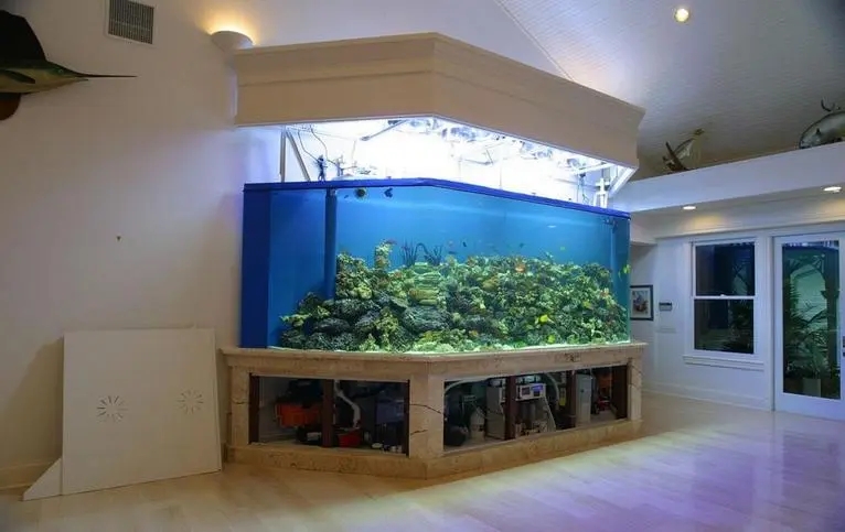 办公室|鱼缸在风水中的作用