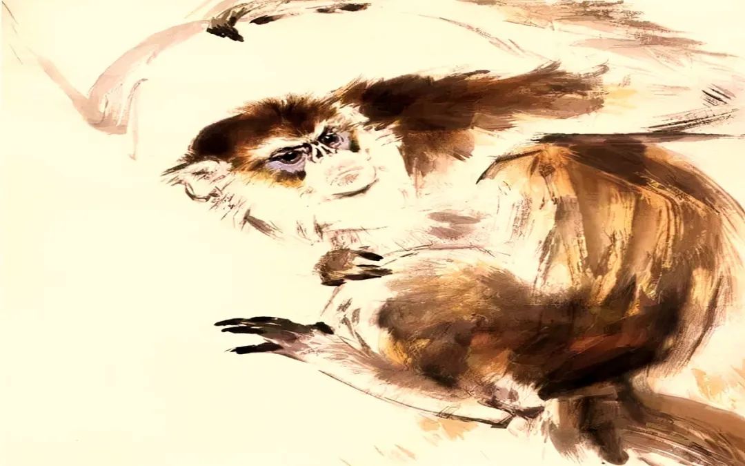 双子座|2022年,咸鱼翻身,腾飞在即,财运挡不住,劳有所获的三个生肖