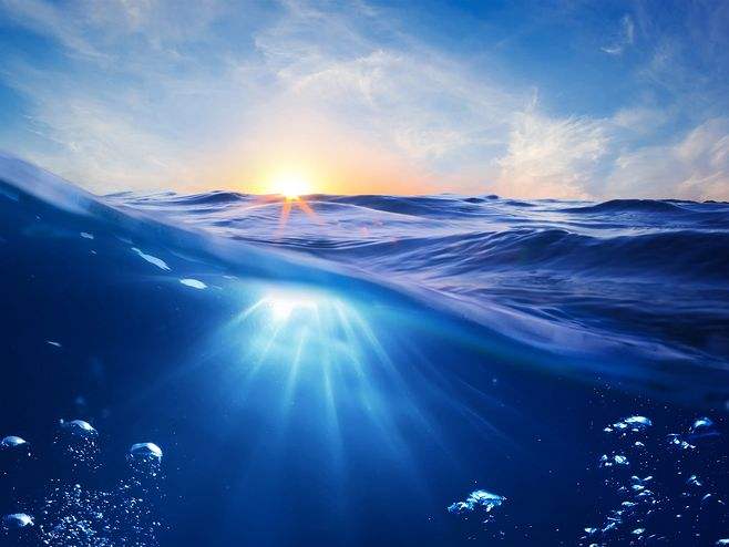 |【白嫖冷知识】为什么海水不能直接喝