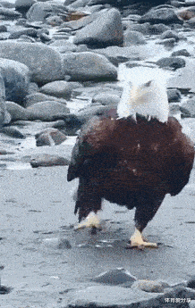 为什么是你|“新买的板鞋,看起来质量不错...”哈哈哈兄弟出门不怕被人打?