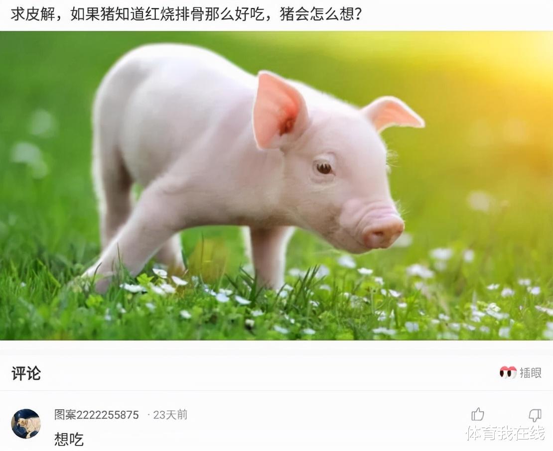 电视剧|“如果他们三个拍同一部电视剧，谁会最有钱！”神评是认真的吗？