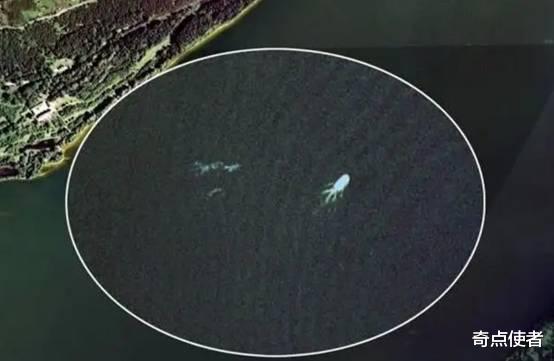 疑似“水怪”出没！新疆喀纳斯湖又拍到不明水生物，它会是什么？