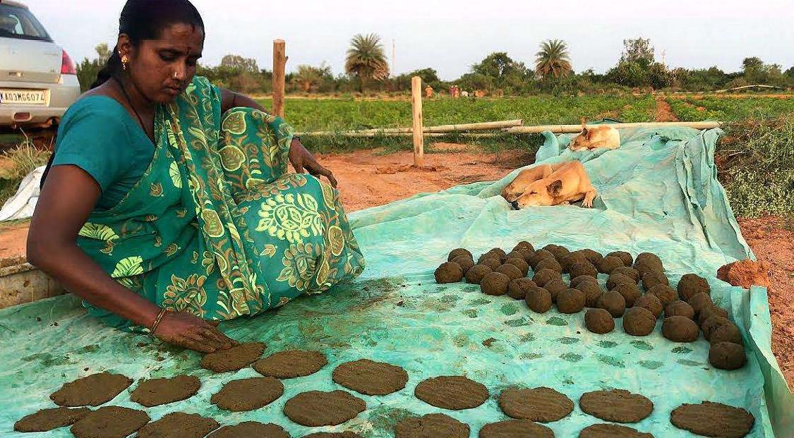 CPU|一枚售价67元,印度“首创”芯片技术,将大量出口到美国