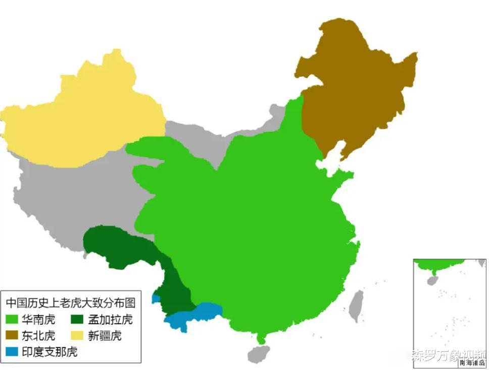 华南虎或要在湖南野化放归?为何选择湖南,野化放归会伤人吗?