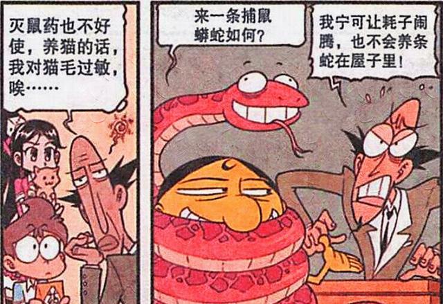 阿星|田姬认为阿星最帅，春妹认为小桂子更酷，可怜奋豆却无人问津