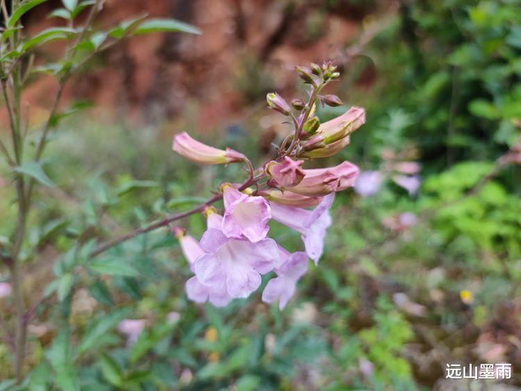 昆明|走风摆山、探马牙洞，打卡昆明户外新晋网红地，徒步、赏景两相宜