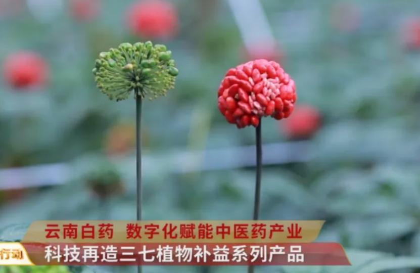 腾讯|通过产品、渠道和内容的跨界式营销，云南白药最终的收获如何？