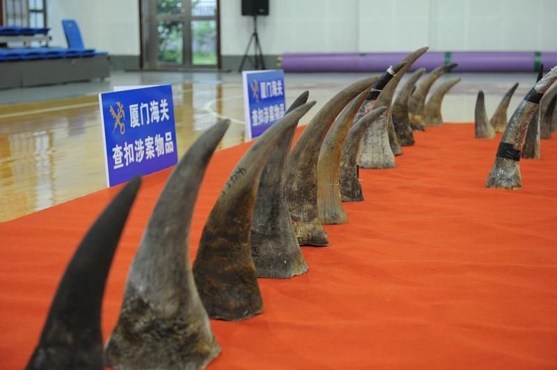 文玩|盘点文玩圈十大违禁品,“白给”都不能要,看看哪个最有“判”头?