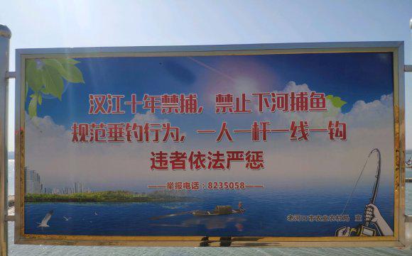 水库|禁渔期已到，多省市实施禁钓，但这些地方可以下竿