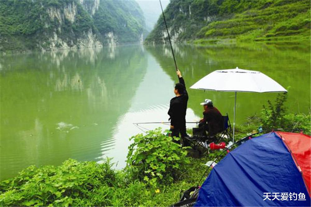 |仲秋野钓,记住5钓5不钓,大货一钓一个准,想不爆护都难