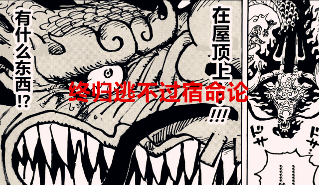 海贼王|海贼王1044话：尾田自以为是的设定，让20年的海迷们纷纷弃坑