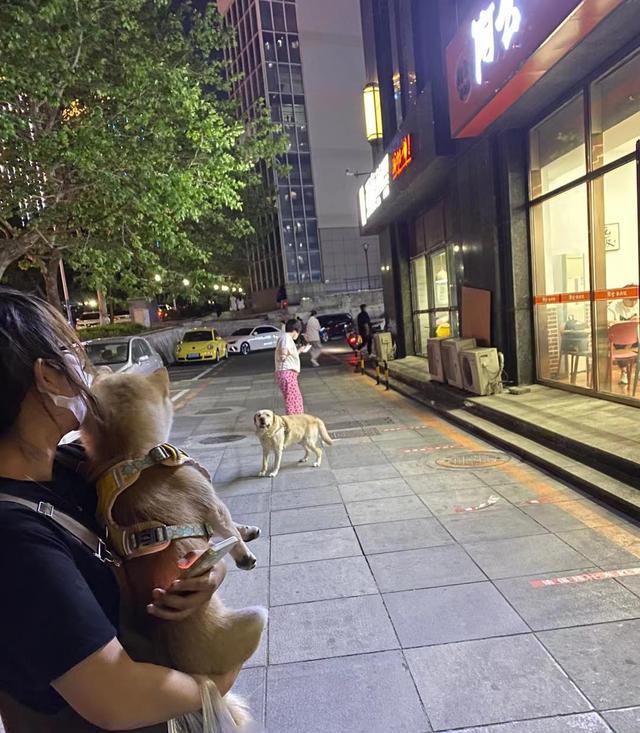 求职|失业率创下新高！找工作变困难，连名牌大学毕业生也不例外