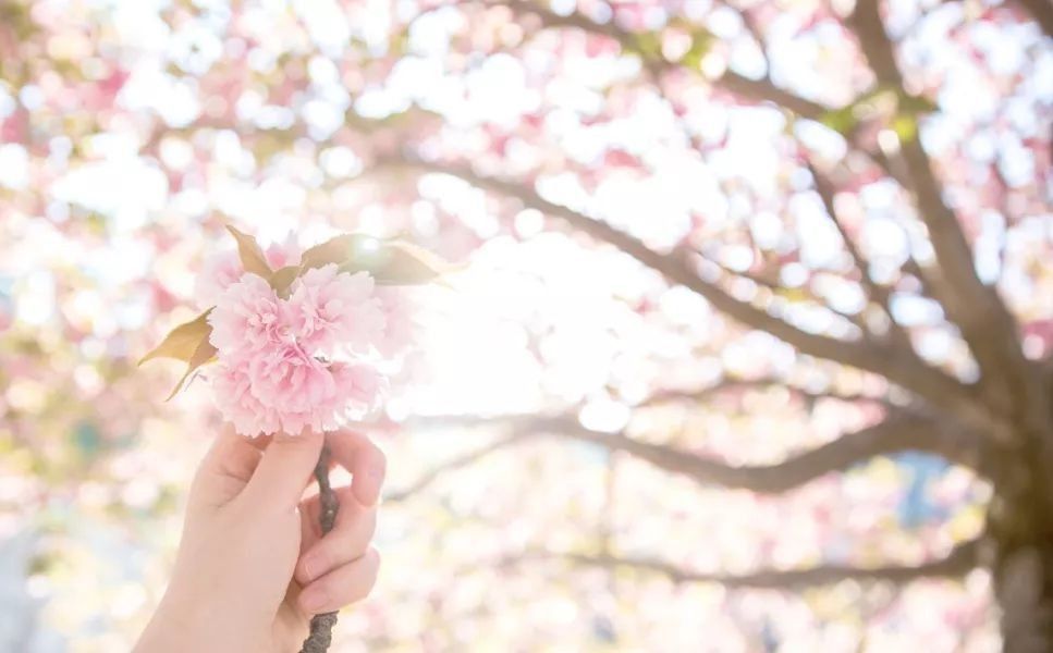 |知世故而不世故,要明白这7个道理