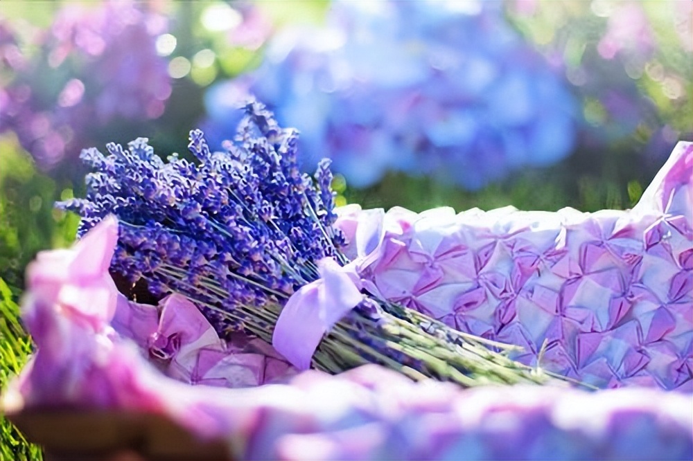 江德福|《父母爱情》原著：江德福从未爱过安杰，他的包容与爱都是假相