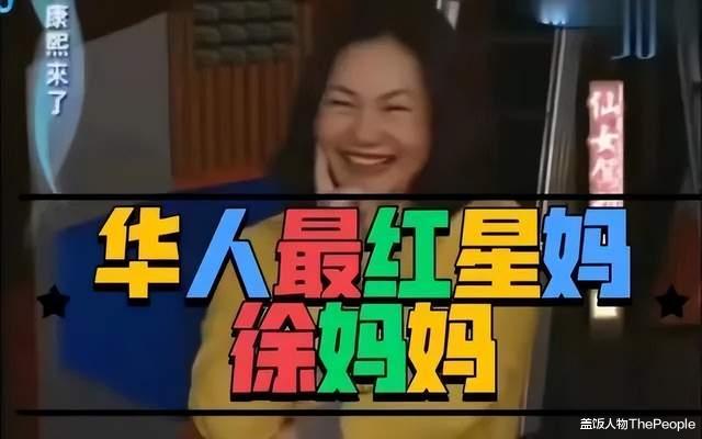 大S|19岁养7个小姑子、花800万离婚、成大S发言人,徐妈才是宅斗女王