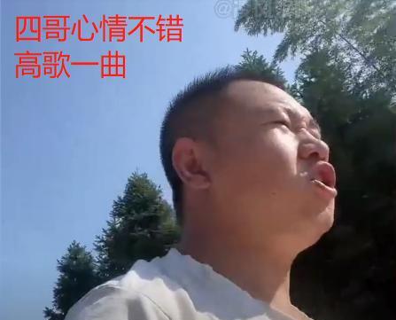 夫妻关系破冰?英子连夜驱车回四川,四哥直播间开心难掩放声高歌