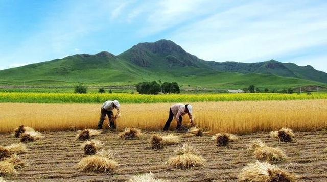 广东省|籍贯到底应该怎么填?现在籍贯还有存在的必要吗?知情人给出答案