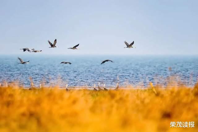 春招|老板陪客户喝酒，我来一句：我替你喝，隔天老板给我发来短信