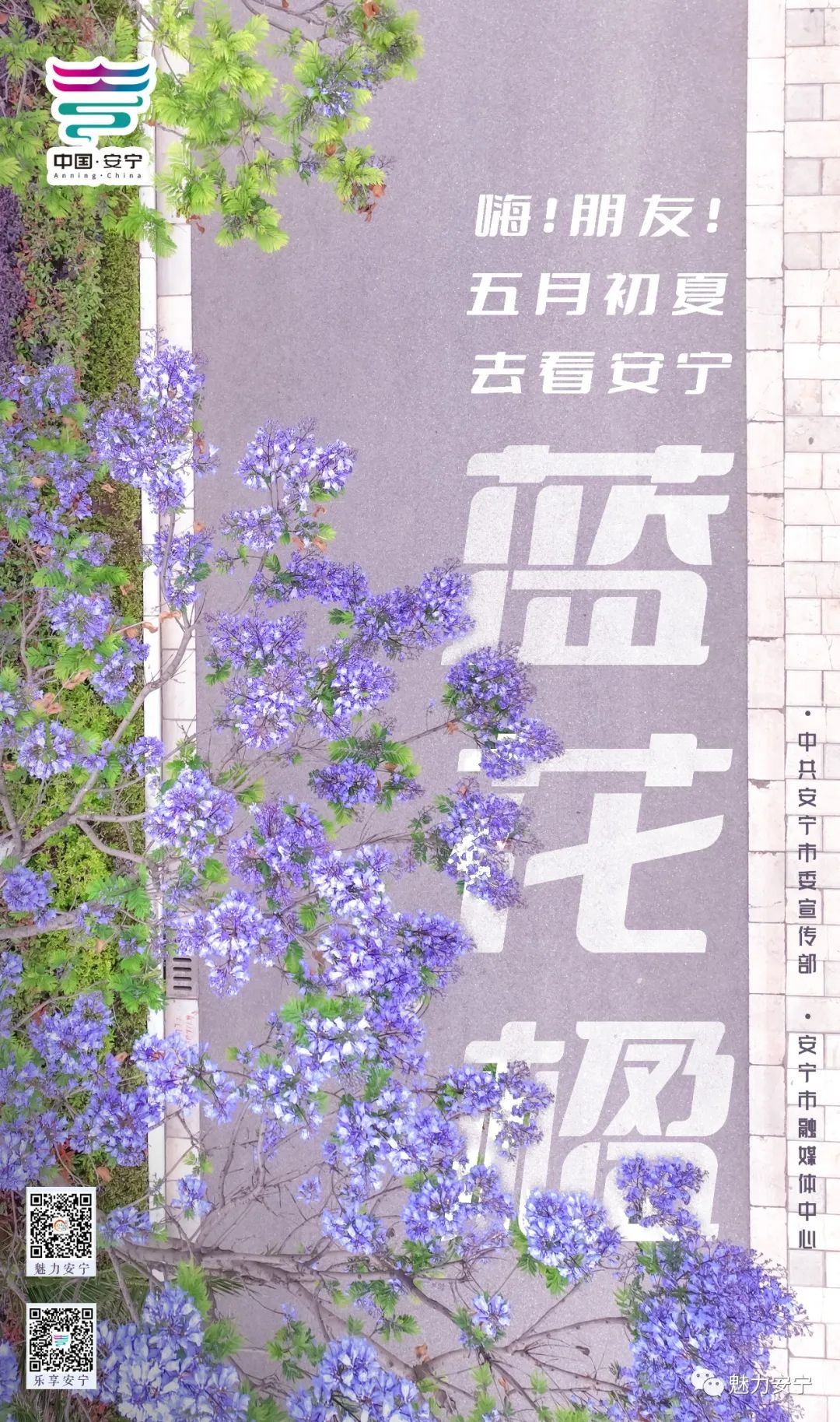 |嗨！朋友！请收下安宁这份蓝紫色的夏日限定