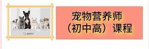 猫咪挑食?猫咪坏习惯该如何解决?