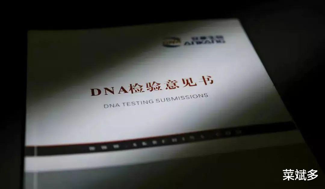 三个女儿三个爹?丈夫发现真相不养了,妻子:他太看重血缘