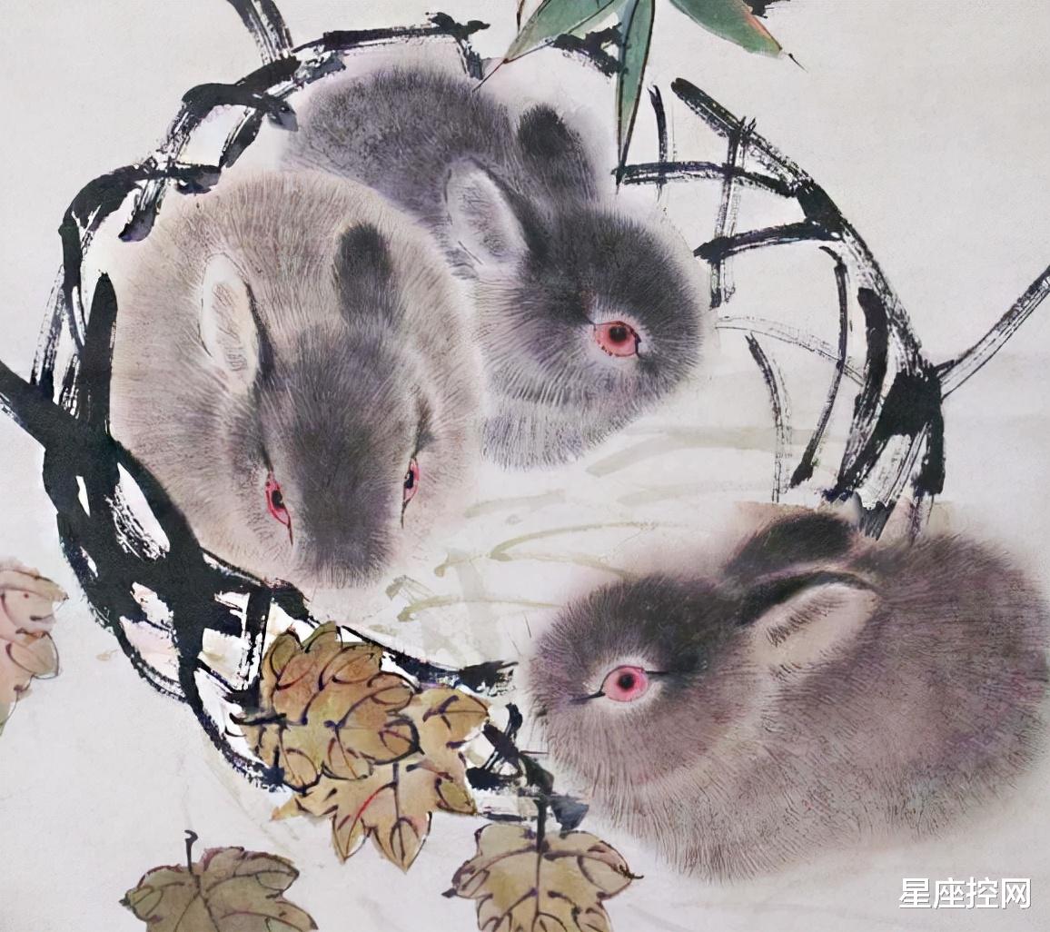 生肖|哪几个生肖去年愁绪万千,到了今年压力骤减,福星高照事事顺